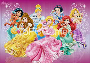 disney princess enchanted journey pc download
