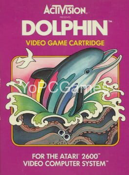 dolphin poster