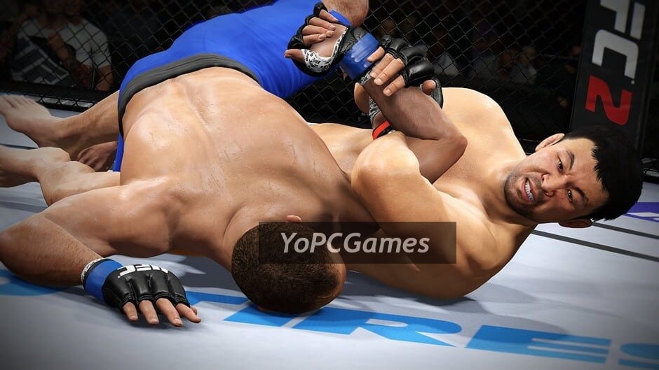 do submissions in ufc 2
