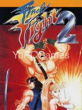 final fight 2 for pc