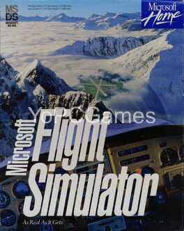 microsoft flight simulator 5.0 poster