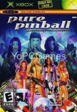 pure pinball poster