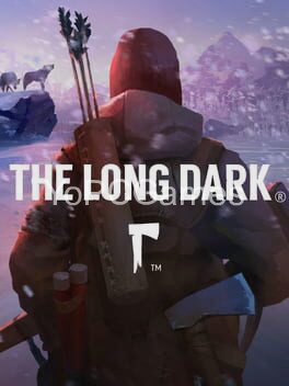 the long dark pc game