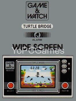 turtle bridge game
