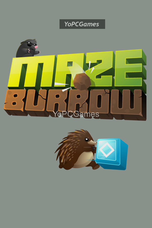 maze burrow pc game