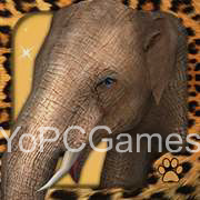 virtual pet elephant game