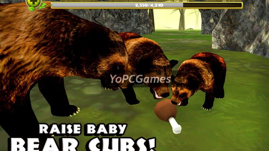 wildlife simulator: bear screenshot 2