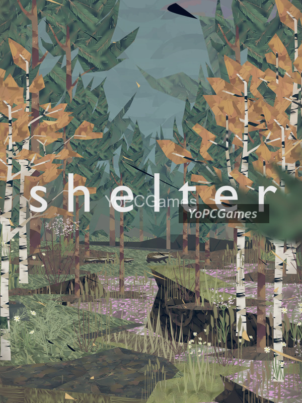 shelter for pc