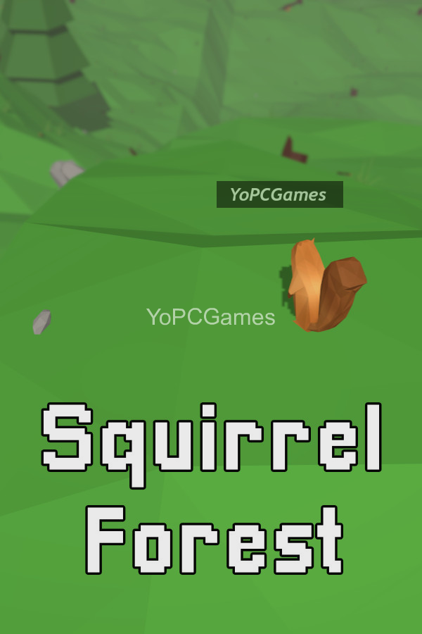 squirrel forest cover