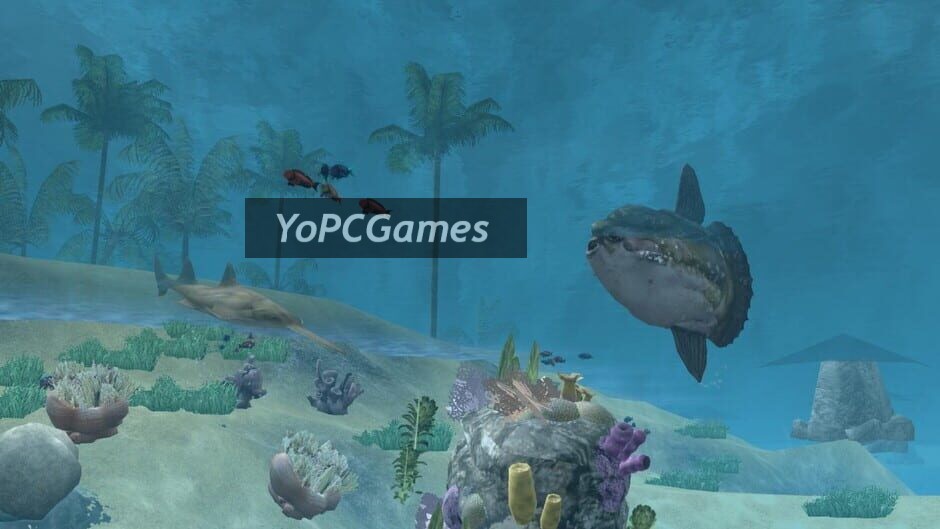 wildlife park 2: marine world screenshot 1