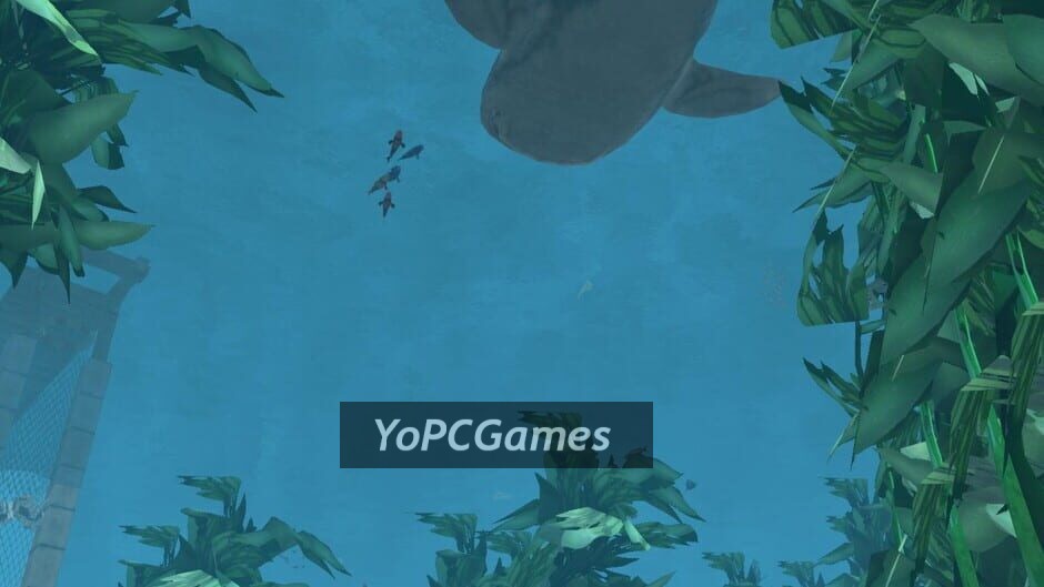 wildlife park 2: marine world screenshot 4