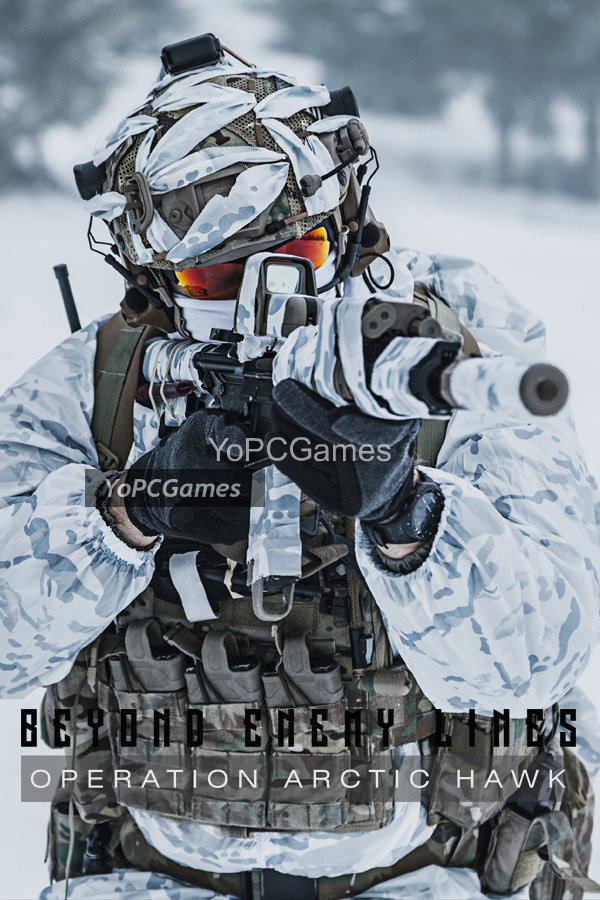 beyond enemy lines: operation arctic hawk pc game