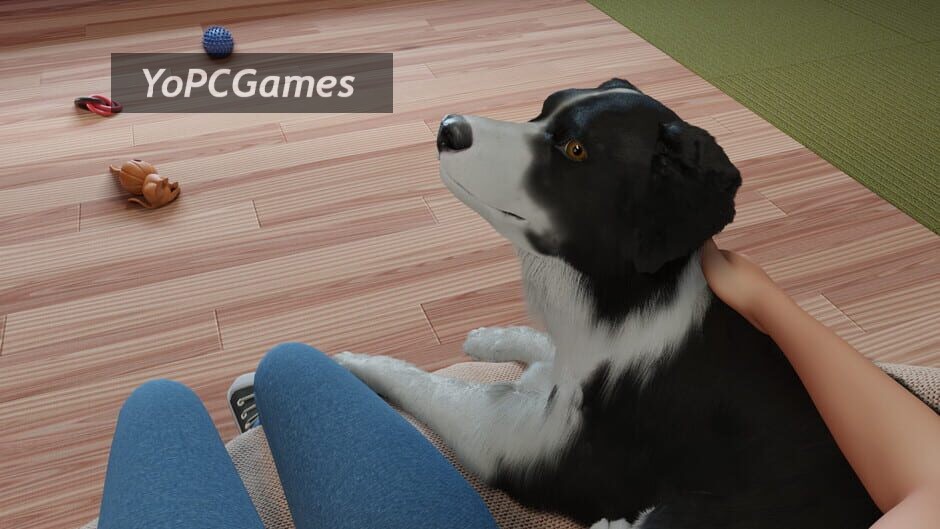 dog trainer screenshot 5