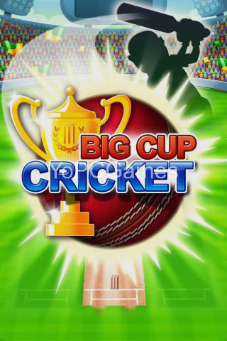 big cup cricket poster