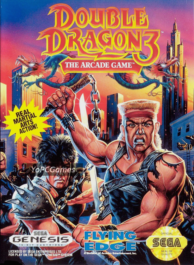 double dragon iii: the arcade game pc game