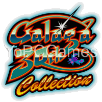 galaga 30th collection for pc