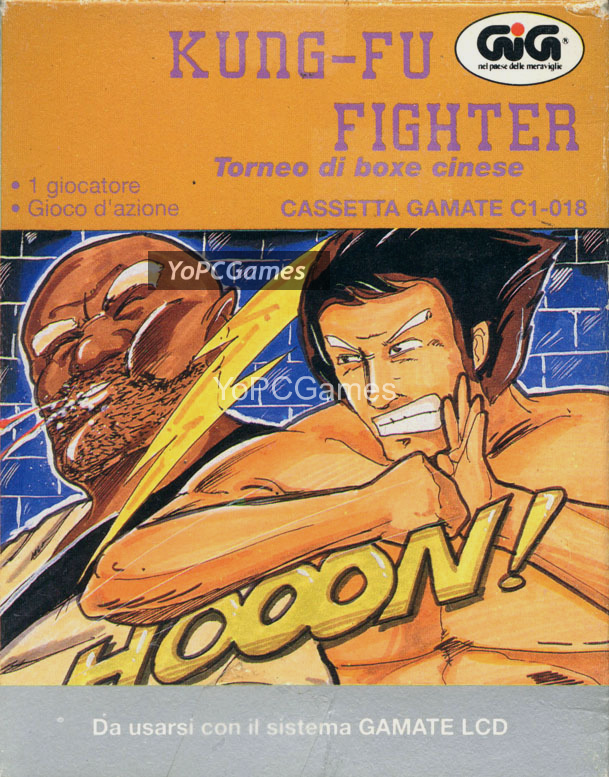 kung-fu fighter for pc