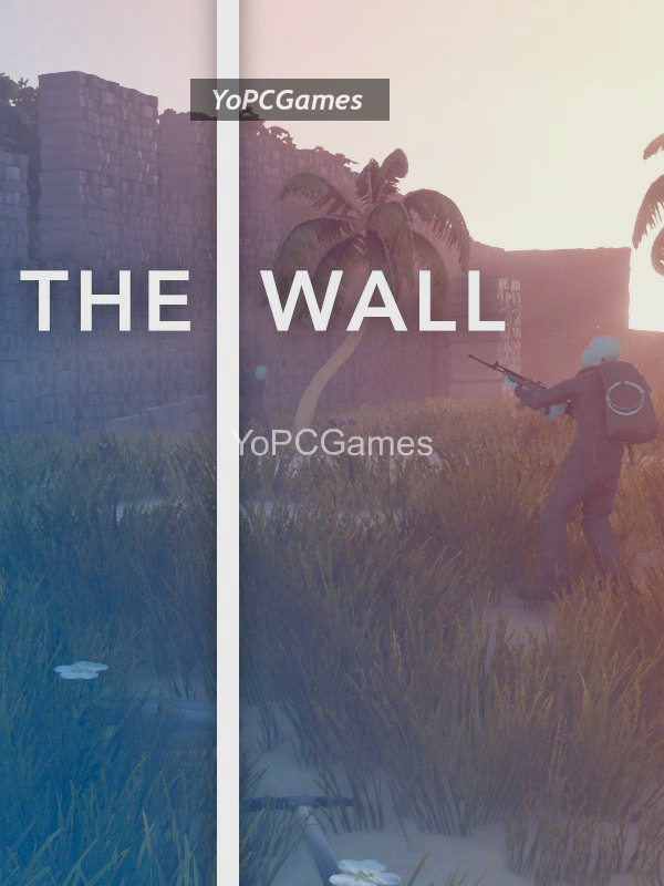 the wall for pc