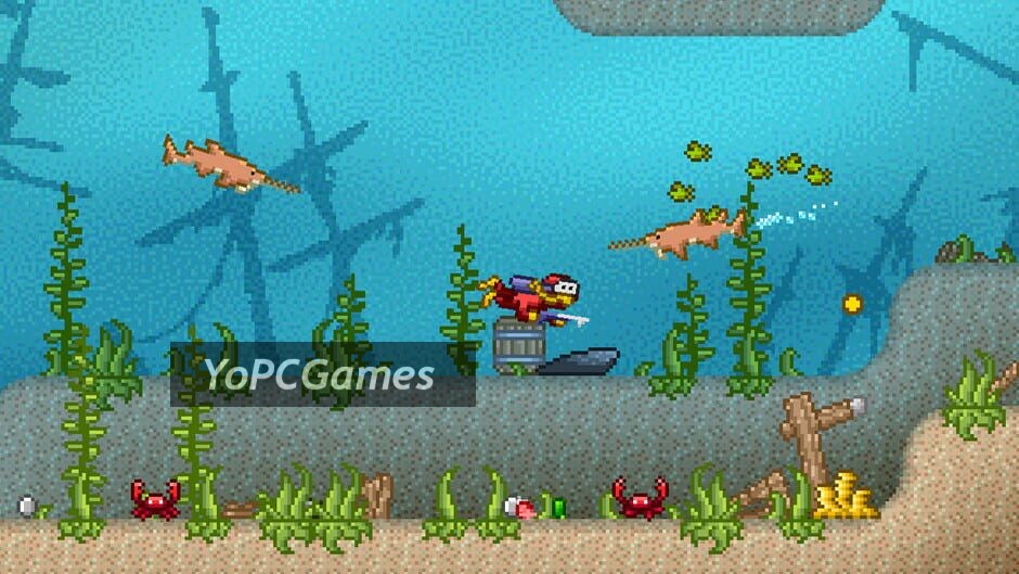 aquarius screenshot 3