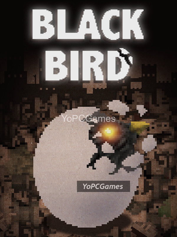 black bird poster