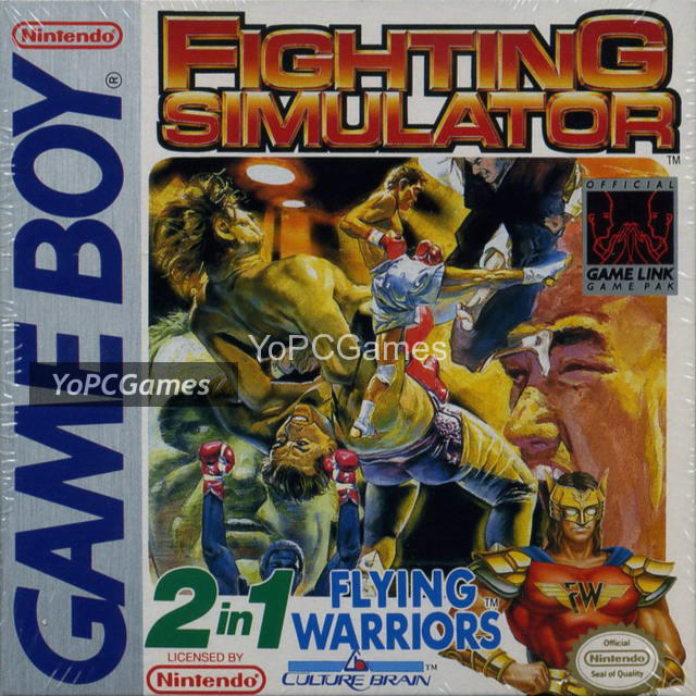 fighting simulator: 2-in-1 flying warriors cover