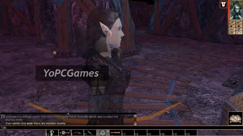 neverwinter nights: witch