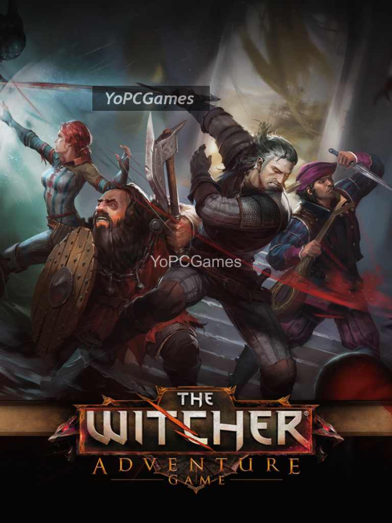 the witcher: adventure game game