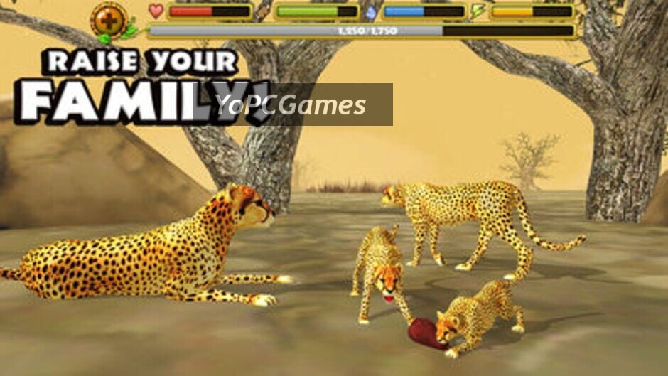 cheetah simulator screenshot 2
