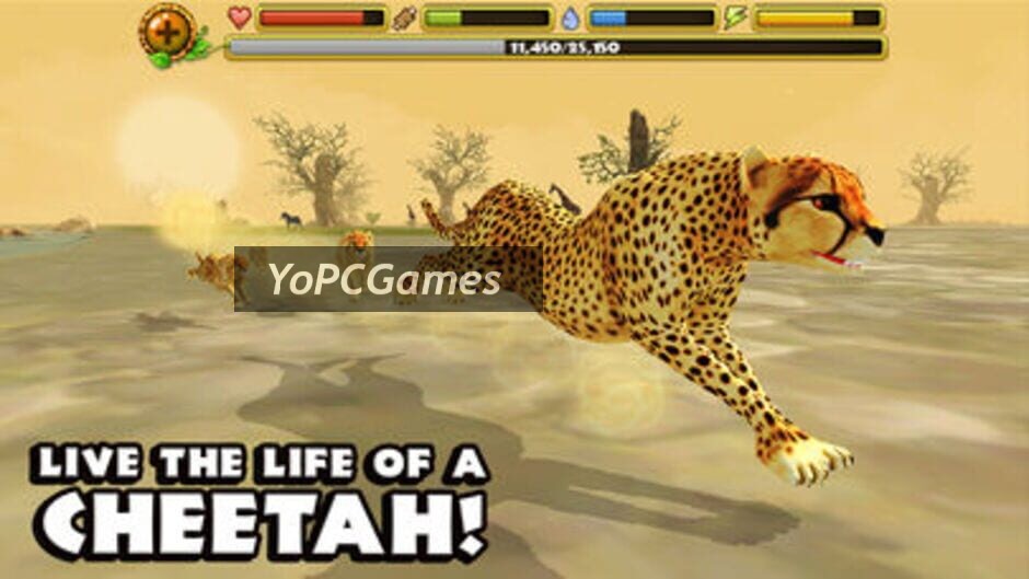 cheetah simulator screenshot 3