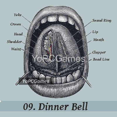 dinner bell cover
