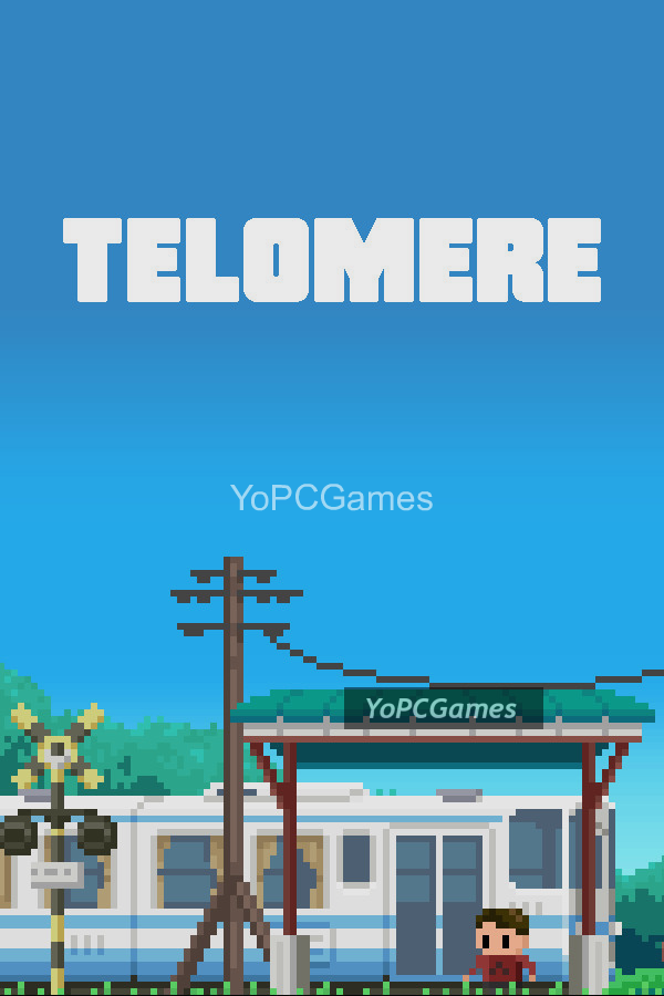 telomere cover