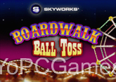 boardwalk ball toss game
