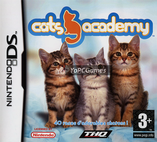 cats academy pc game