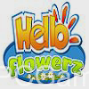 hello flowerz cover