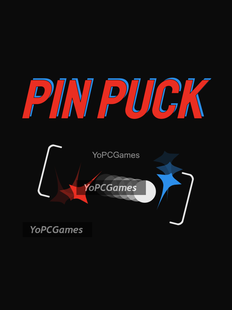 pin puck pc game