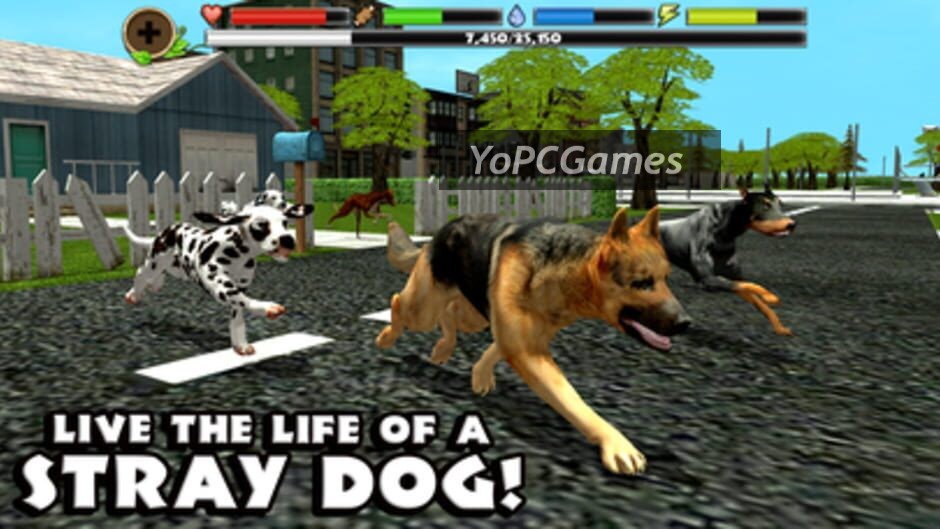 stray dog simulator screenshot 1
