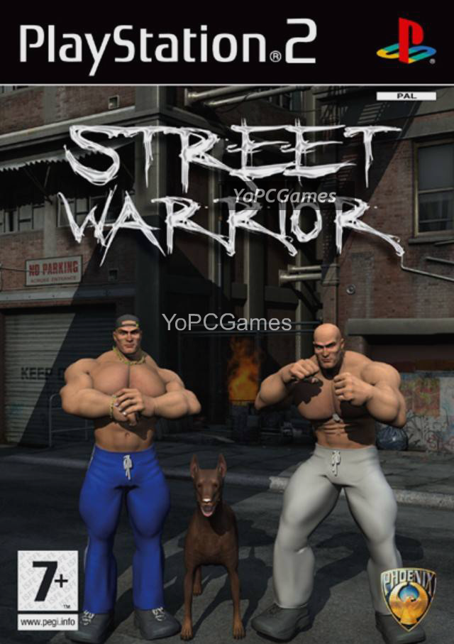 street warrior poster