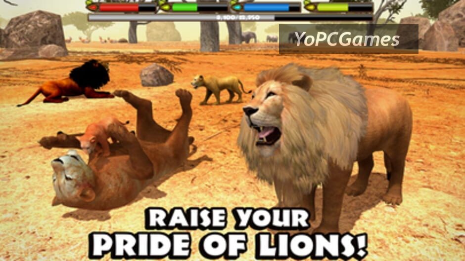 ultimate lion simulator screenshot 5