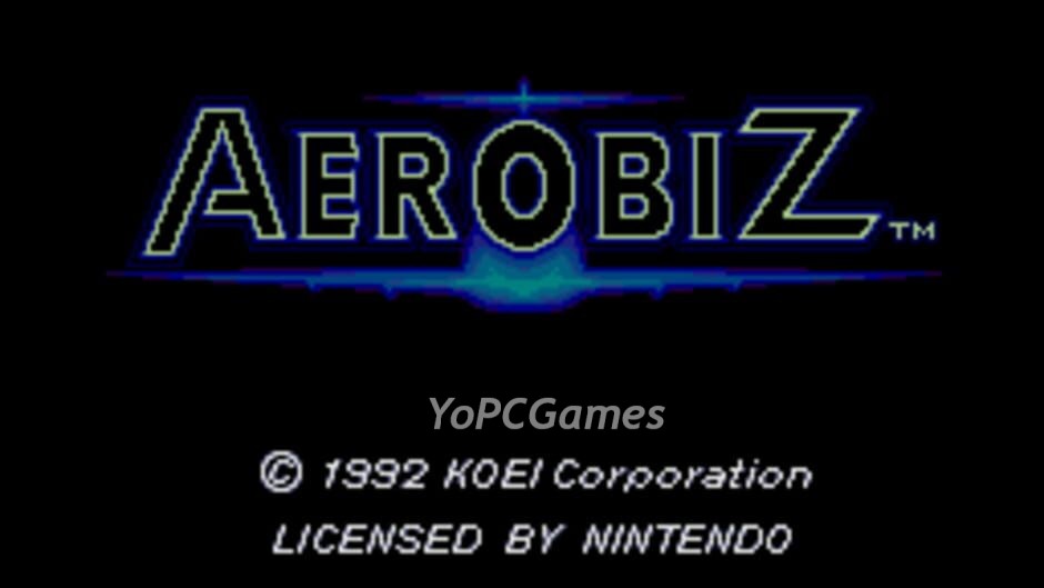 aerobiz screenshot 1