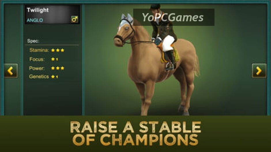 jumping horses champions 2 screenshot 3