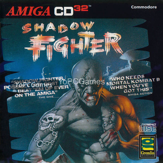 shadow fighter for pc
