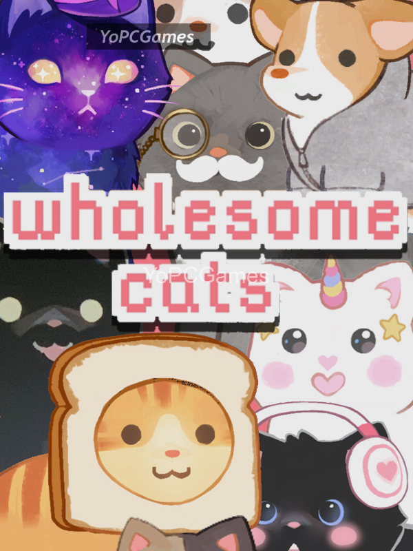 wholesome cats for pc