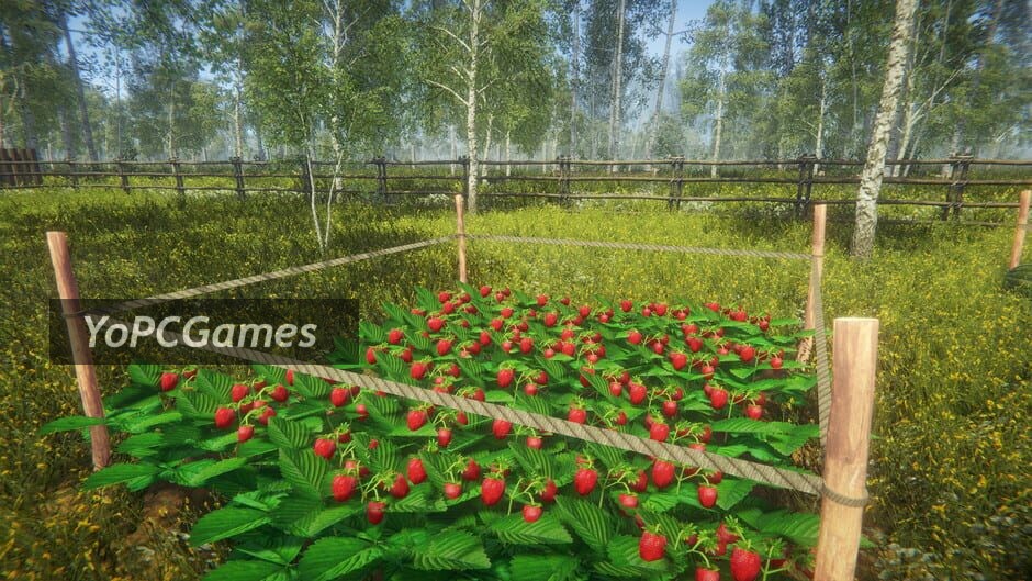 Garden Paradise: A Dream in Green Screenshot 1