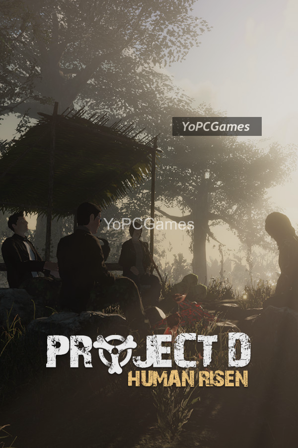 project d for pc