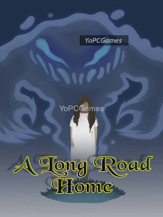 a long road home poster