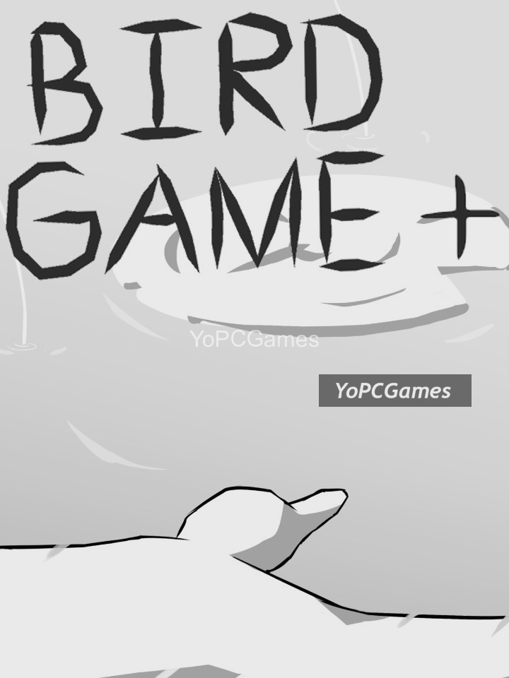 bird game + pc