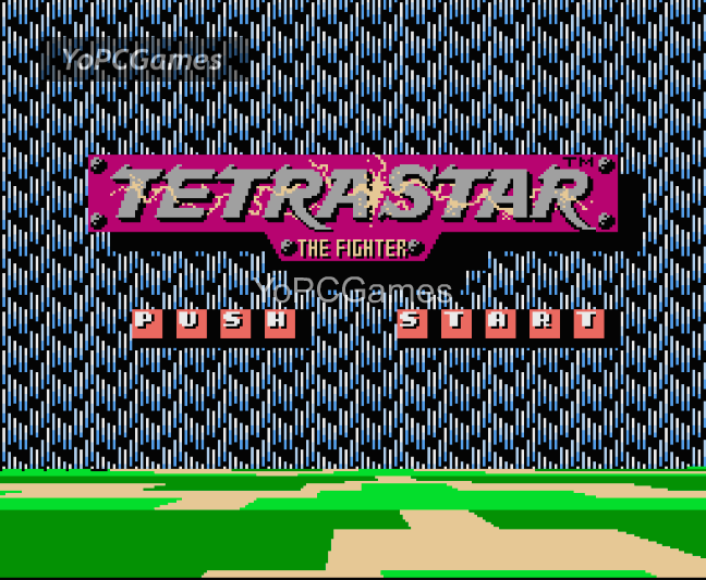 tetrastar: the fighter game