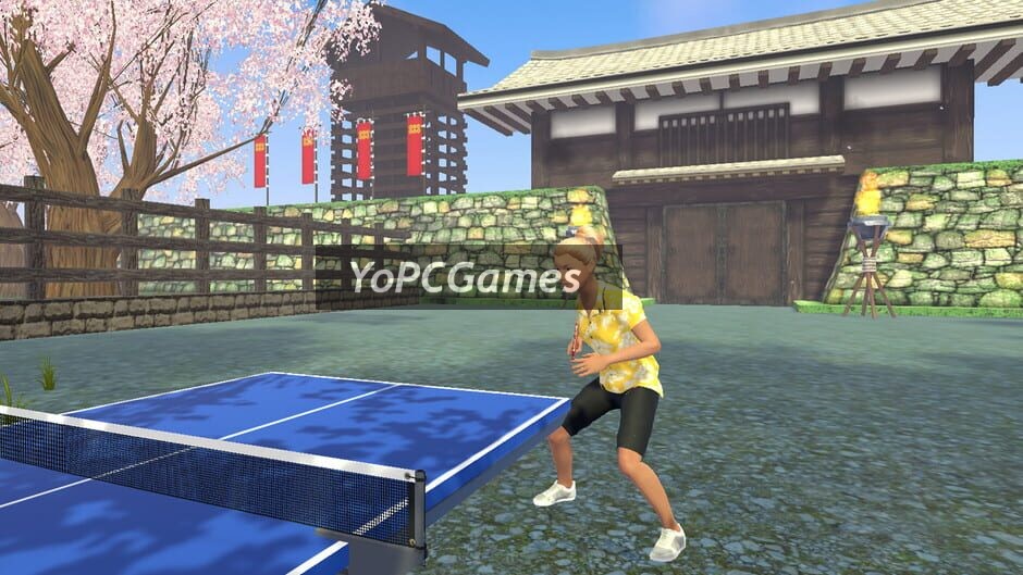 vr ping pong paradise screenshot 4