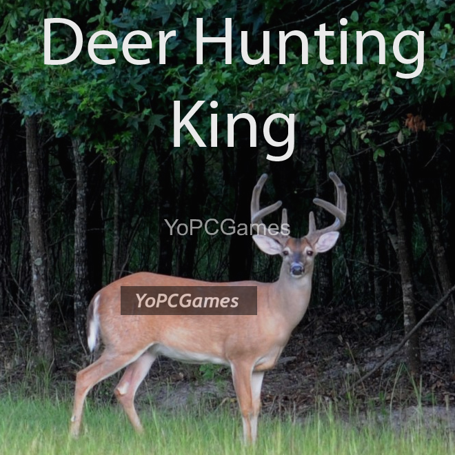 deer hunting king poster