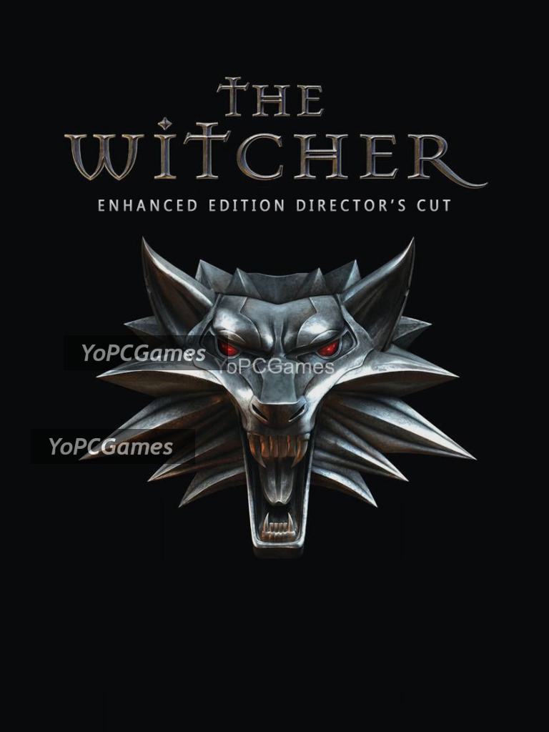 the witcher: enhanced edition director